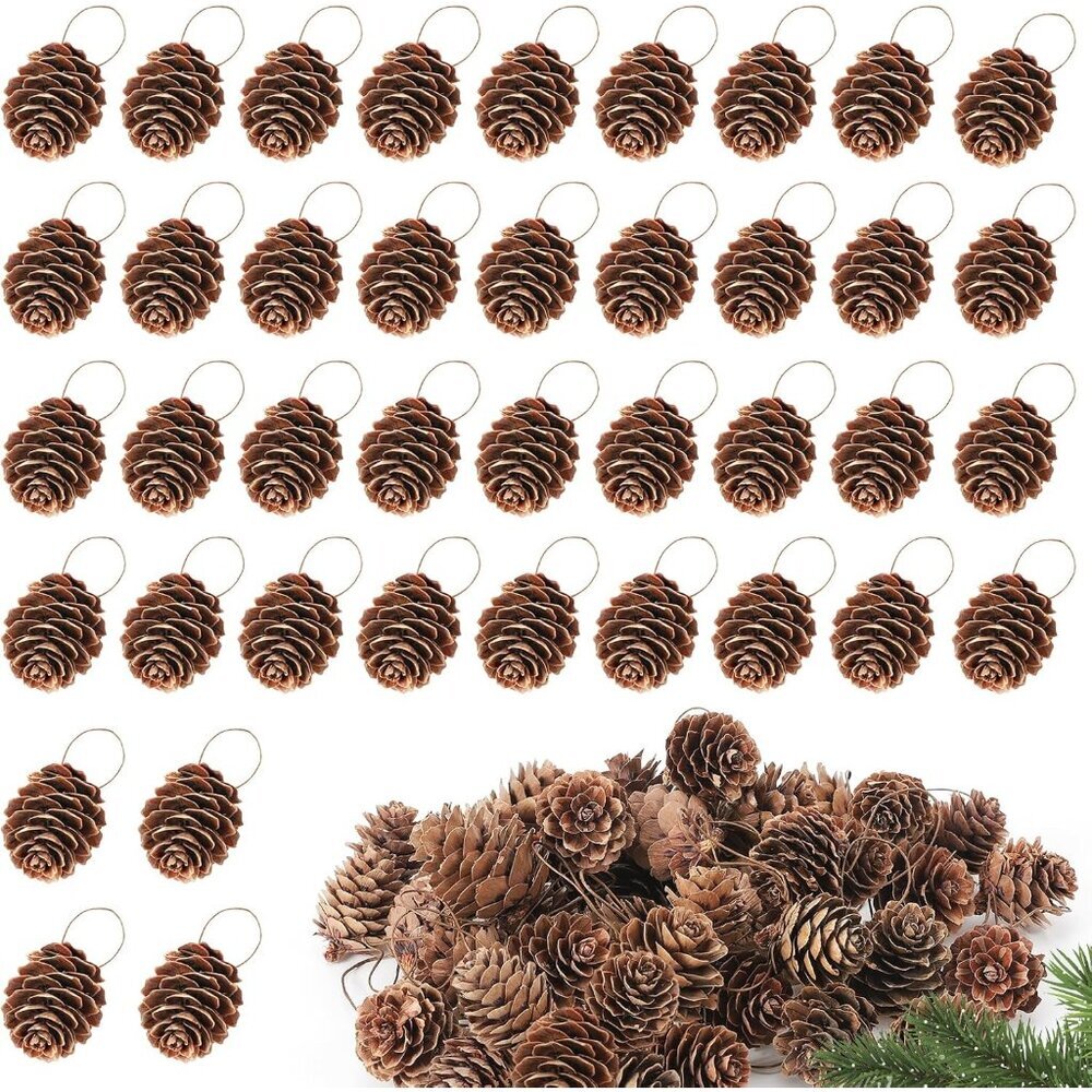 1.2" Natural Small Pine Cones Christmas Ornaments - 40 Pcs Hanging Pinecone Craf